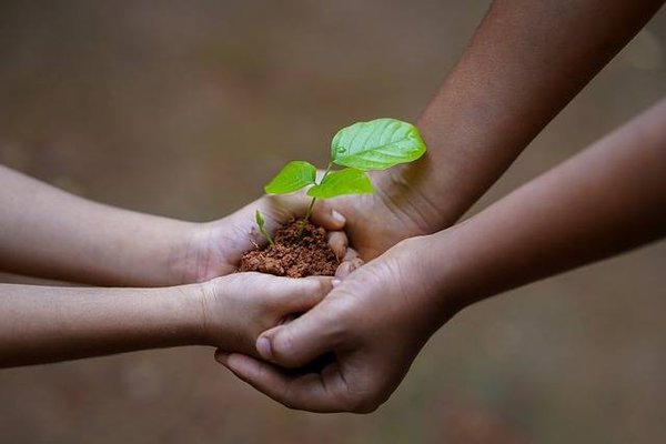 Pourquoi les politiques gouvernementales en matière de protection de la nature et de développement durable sont importantes