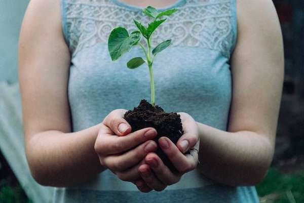 Quels sont les principaux facteurs de perte de biodiversité?