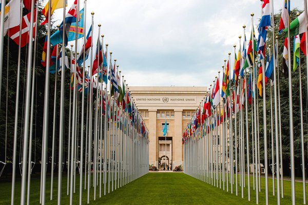 Quelles sont les principales organisations internationales qui s'occupent des questions environnementales ?