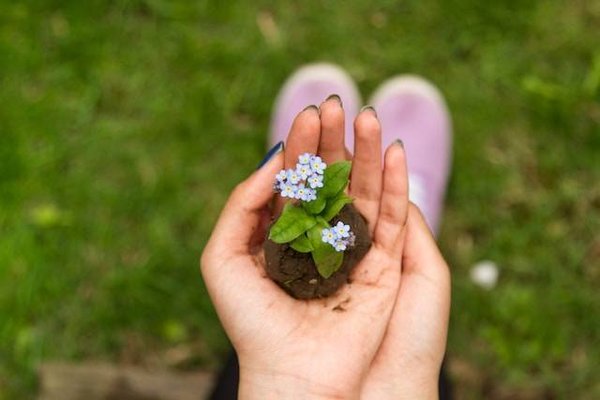 Quelles sont les principales organisations de la société civile qui participent au débat public sur l'environnement?