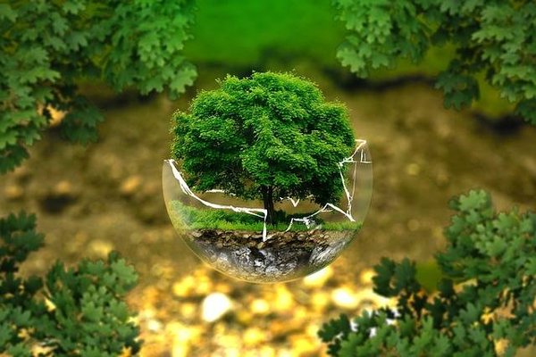 La protection de l'environnement: les bienfaits économiques pour les communautés locales