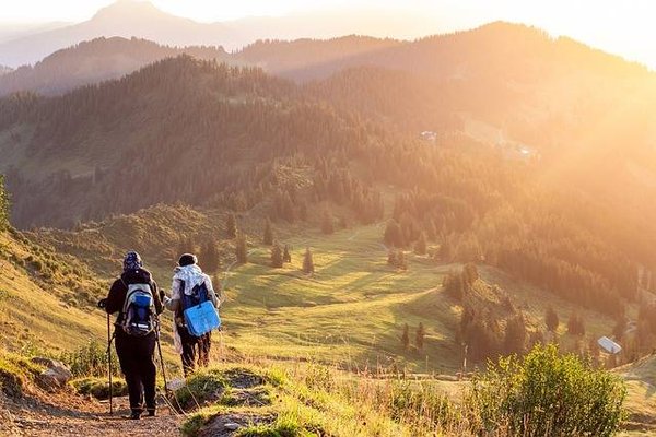 Les activités de plein air pour favoriser l'éducation environnementale