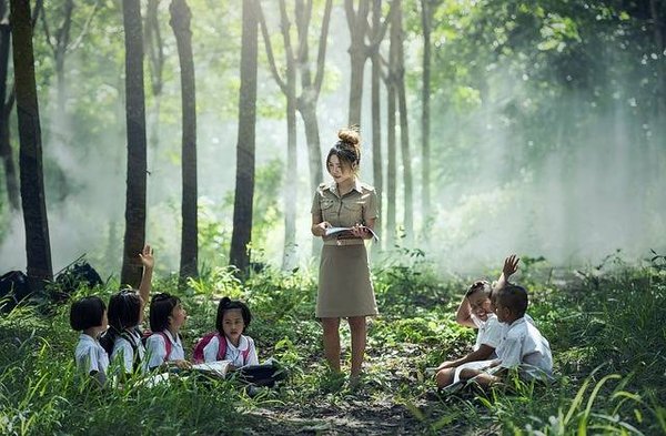 L'éducation environnementale : Pourquoi c'est important
